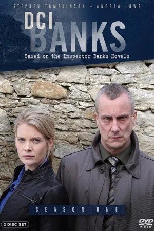  DCI Banks - Saison 1 affiche 