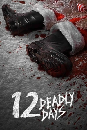  12 Deadly Days - Saison 1 affiche 