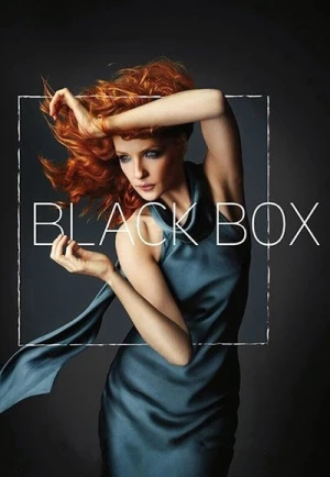  Black Box - Saison 1 affiche 