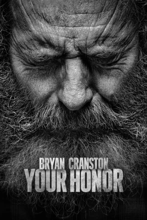  Your Honor - Saison 2 affiche 