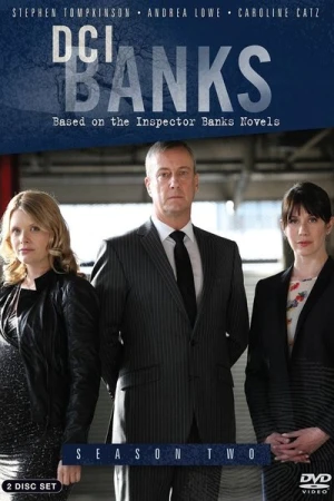  DCI Banks  - Saison 2 affiche 