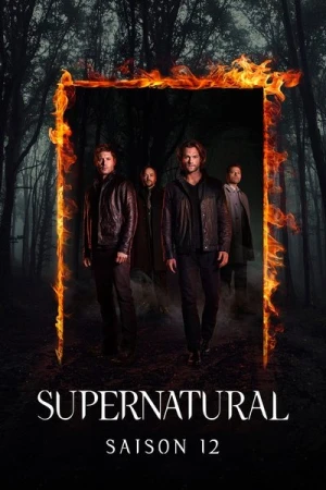  Supernatural - Saison 12 affiche 