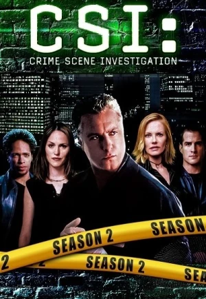  Les Experts - Saison 2 affiche 