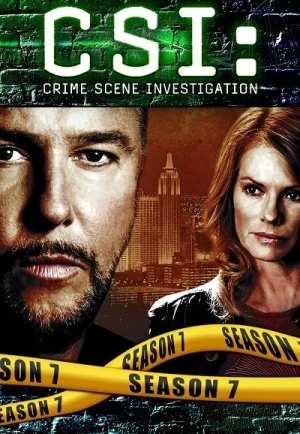  Les Experts - Saison 7 affiche 