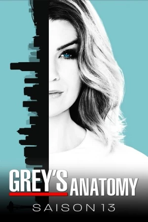  Grey's Anatomy - Saison 13 affiche 