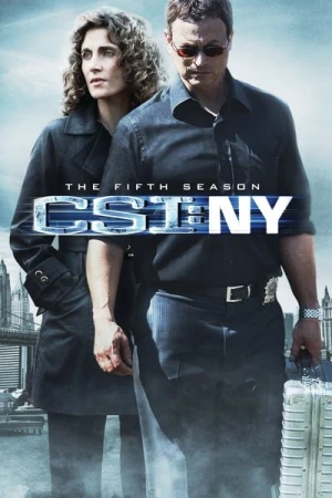  Les Experts : Manhattan - Saison 5 affiche 