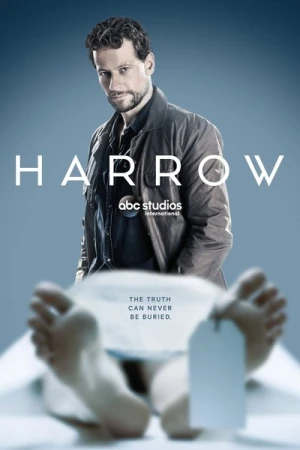  Harrow - Saison 1 affiche 