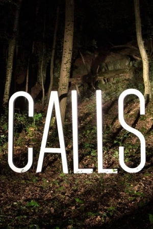  Calls - Saison 1 affiche 