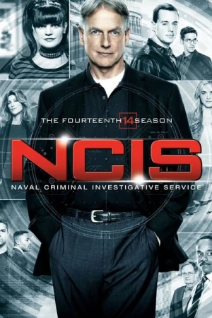  NCIS : Enquêtes spéciales - Saison 14 affiche 