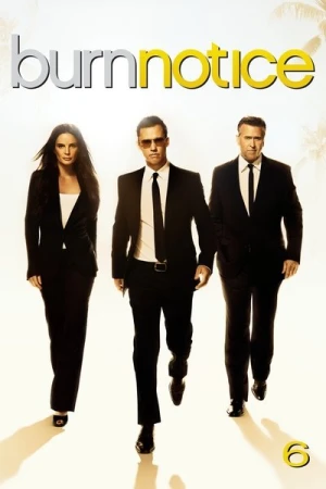  Burn Notice - Saison 6 affiche 