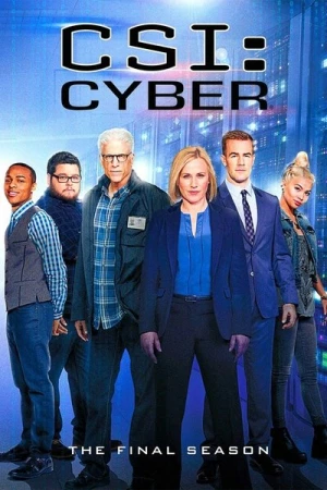  CSI: Cyber - Saison 2 affiche 
