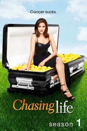  Chasing Life - Saison 1 affiche 