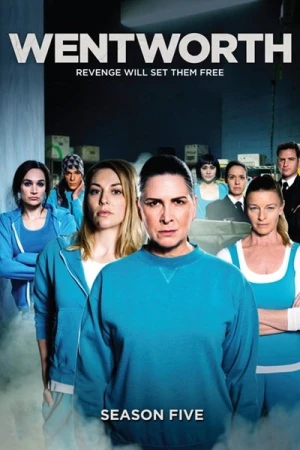  Wentworth - Saison 5 affiche 
