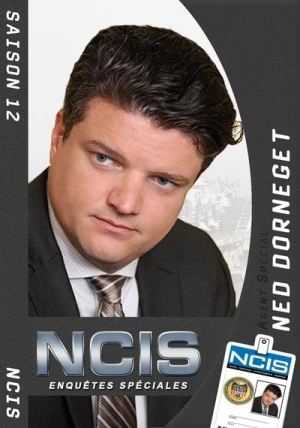  NCIS : Enquêtes spéciales - Saison 12 affiche 