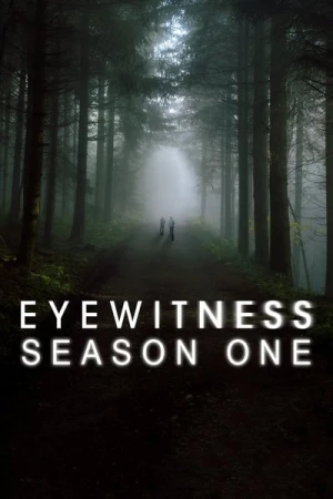  Eyewitness - Saison 1 affiche 
