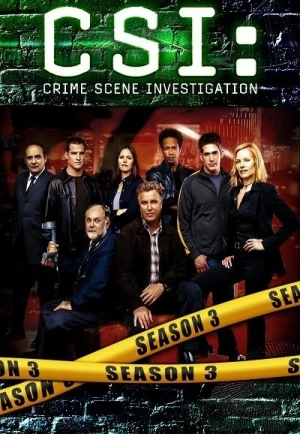  Les Experts - Saison 3 affiche 
