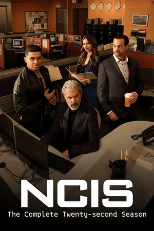  NCIS : Enquêtes spéciales - Saison 22 affiche 