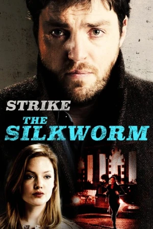  C.B. Strike - Saison 2 affiche 